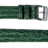 Bracelet montre en requin véritable vert double joncs doublé requin