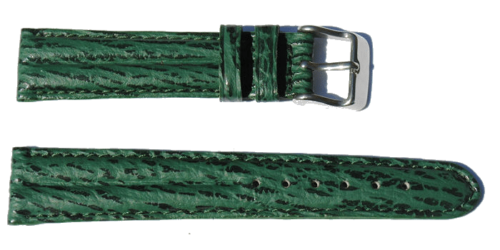 BRACELET-MONTRE-DJDR-REQUIN-VERITABLE-VERT