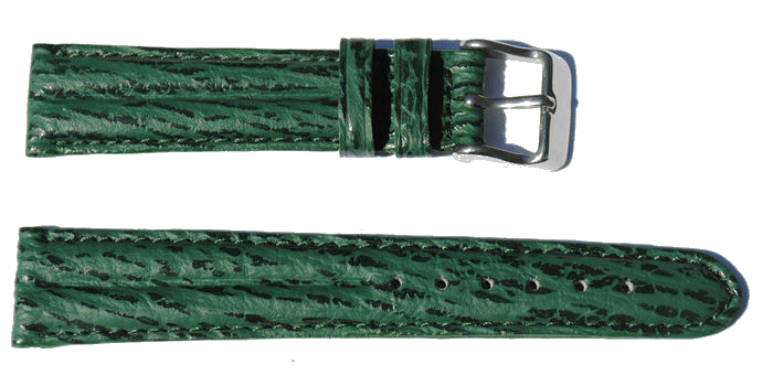 BRACELET-MONTRE-DJDR-REQUIN-VERITABLE-VERT