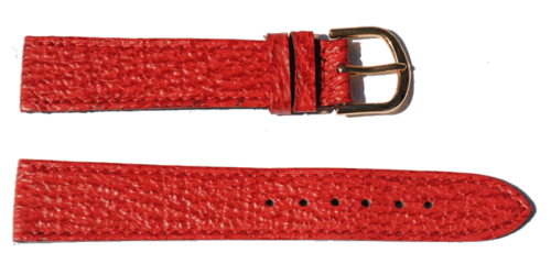 BRACELET-MONTRE-PLAT-REQUIN-VERITABLE-ROUGE